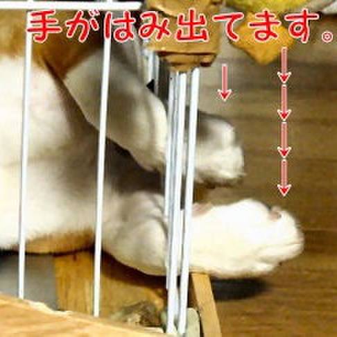 13bbe4b1 baef 4f80 a270 2eeade5e6da2 1688257337686