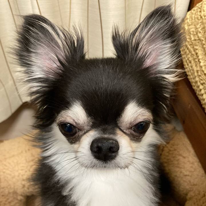 13bbe82b c6c4 45bc 8422 8ff9ff82d3c8 1650806781560