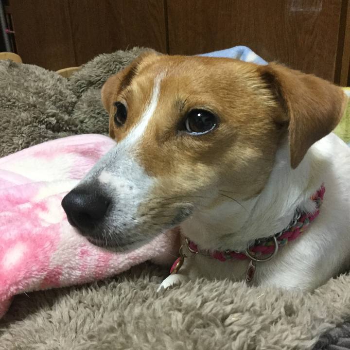 13bbf0b4 d1bb 4c57 98c8 e04347360d26 1519206809823