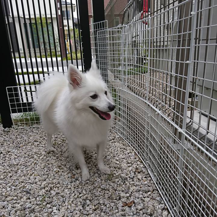 13bc2681 9d43 4719 9da5 3db95e4dc6db 1542090393890