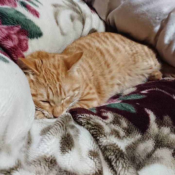 13bc45f4 4e64 46ed 8428 3f4fa9ad0345 1641905965582