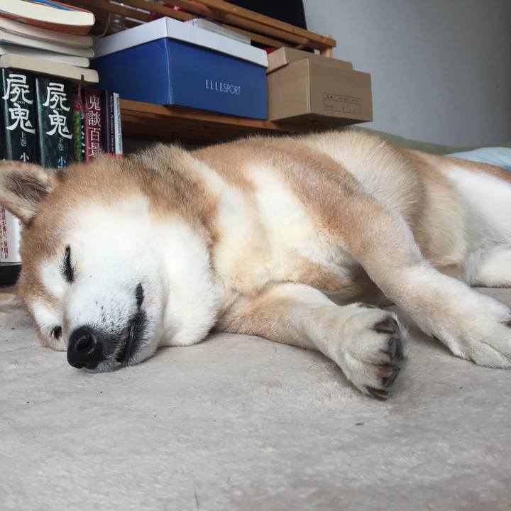 13bc6266 ee3c 47c6 8e14 85e5acf07f64 1550387513116