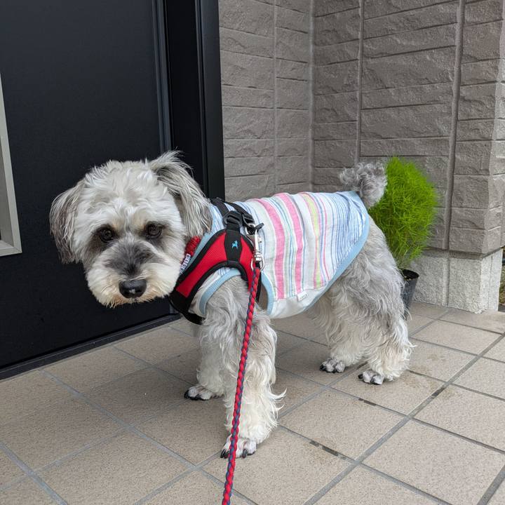 13bc6a9c b2ad 41e1 8505 79c58559ddde 1752442058087