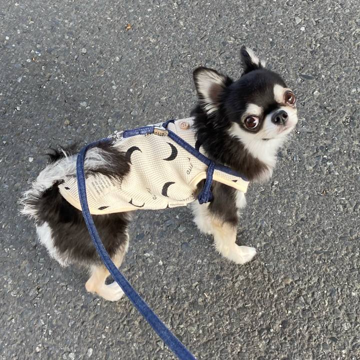 13bcc4ef 976f 4161 9dac dc57f70d5fdf 1683299914057