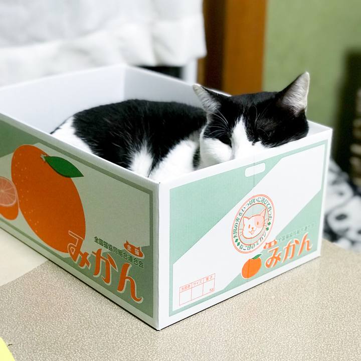 13bd1fb1 edbb 4a42 b5d0 8a4a46ea6aa1 1515070594082