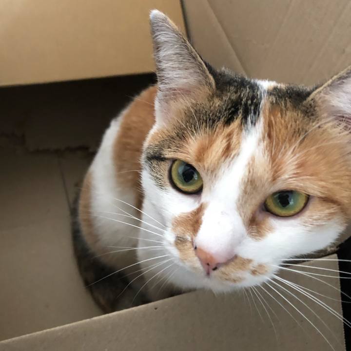 13bd5e69 6923 4c9f 840e 456b3af196f4 1603510748490