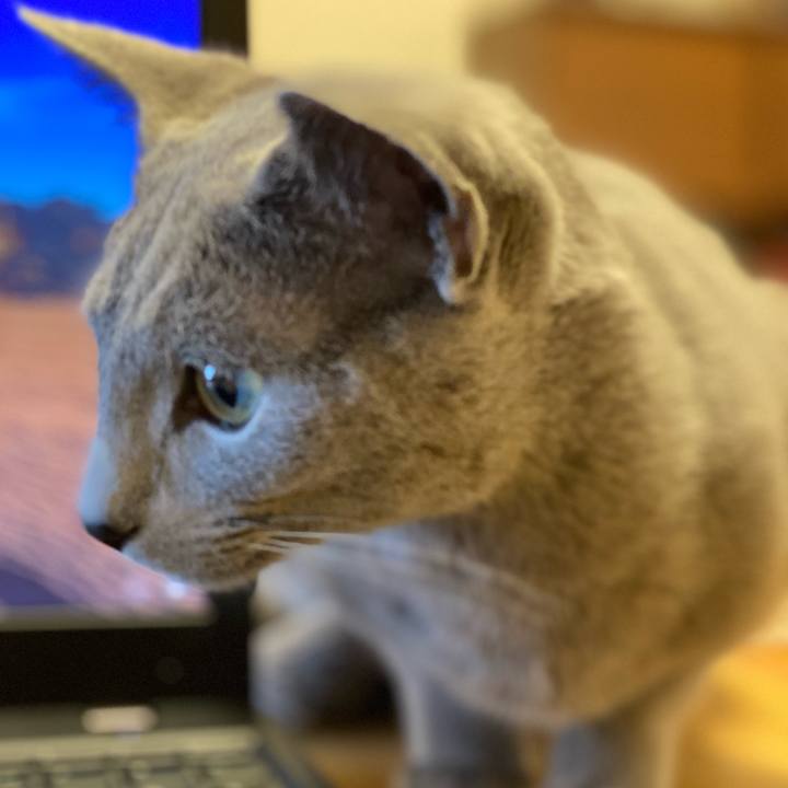 13bd64c0 025c 43a7 bd8c fcf7b8900f89 1620347617222