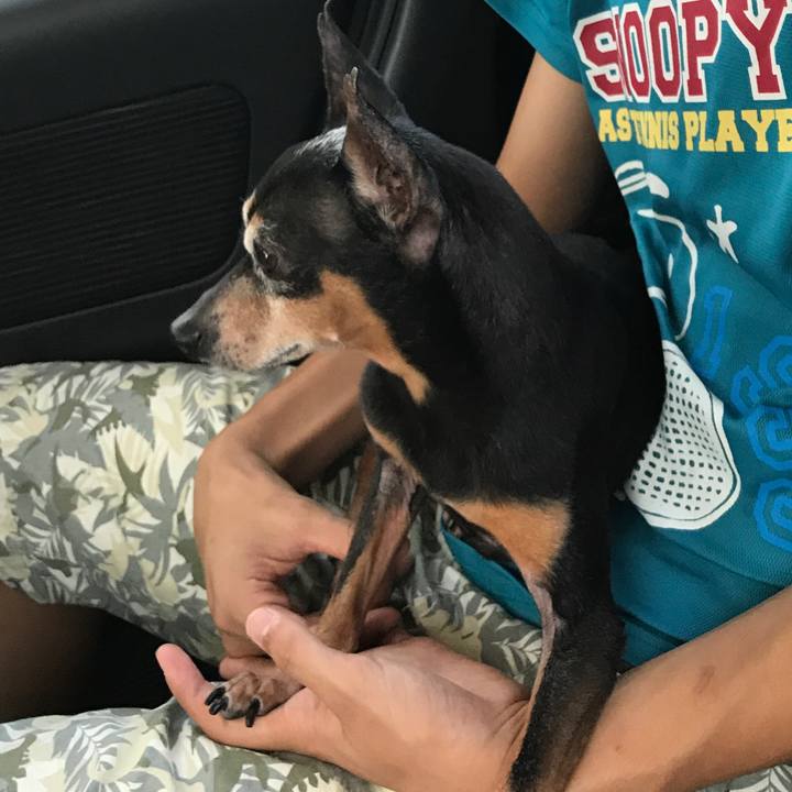 13bd6685 33a3 42f4 bea7 767ccb83e135 1527423109828