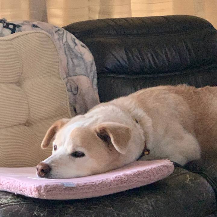 13bd6c3f 19e5 4c9d bc52 ea3d49f30cc7 1647156285693