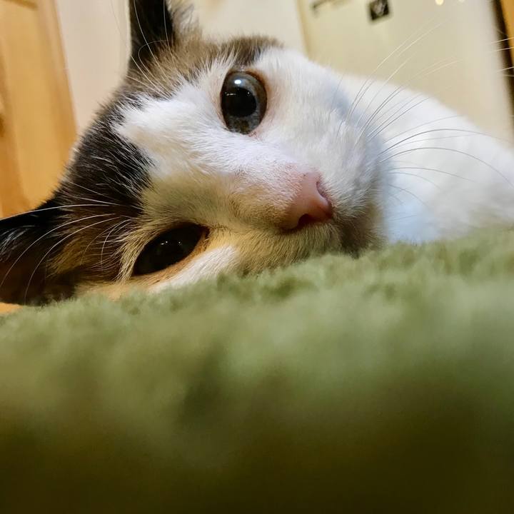 13bd841f ad2a 4023 a5f2 1a749cd778b9 1564059959434