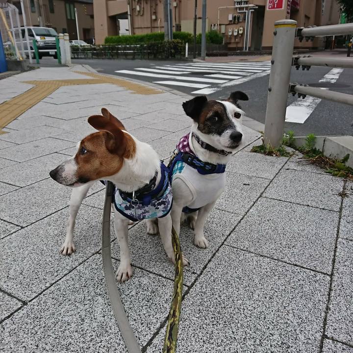 13bde0d0 75ba 4871 87e3 af16f6285d2e 1527458777422