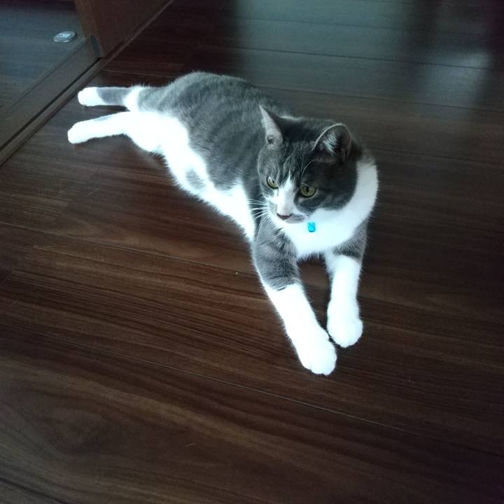 13be347e 24db 4324 bb71 05782f714745 1603494434672