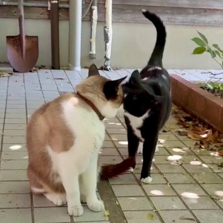 13be5571 85bb 4465 9039 180dfd70bdd1 1748313260607