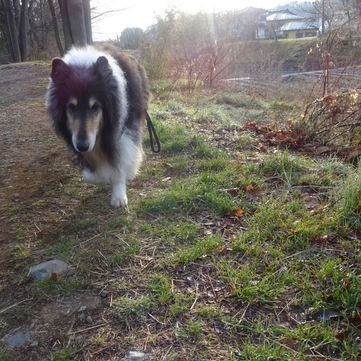 13be60df c905 4702 9bfb 1dbfe0bc4841 1615385781423