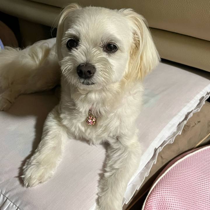 13be8958 4e03 4c86 af73 ab7e597fe1e5 1689594868690