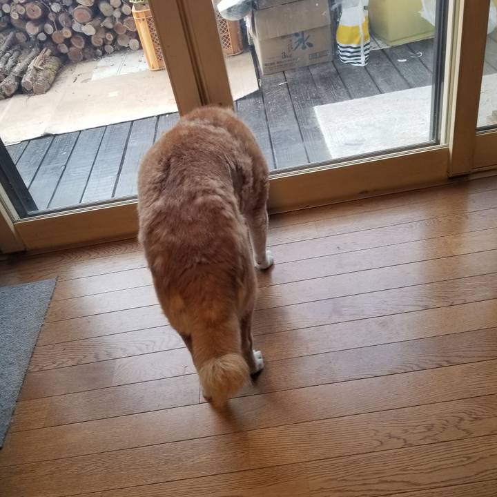 13be8bcf e625 418e a80b 06472e18f6f2 1737588696512