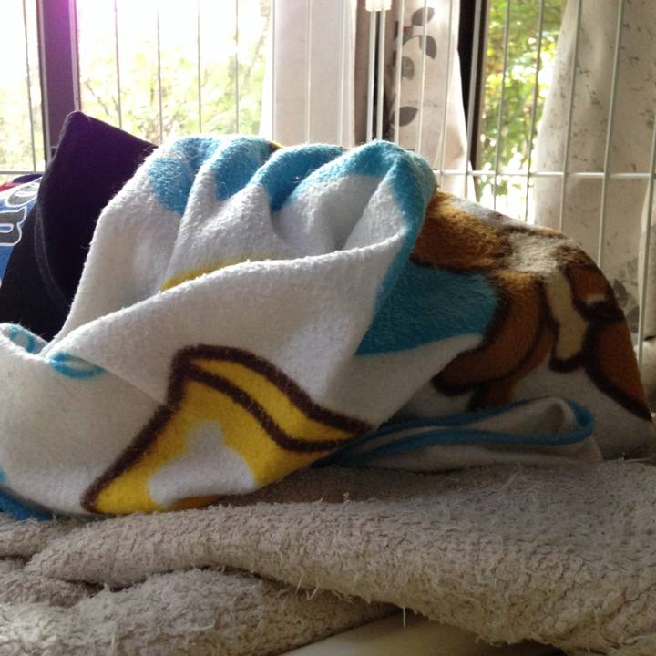 13be9527 d09b 428e 89d7 e8b1310a8487 1729544773283