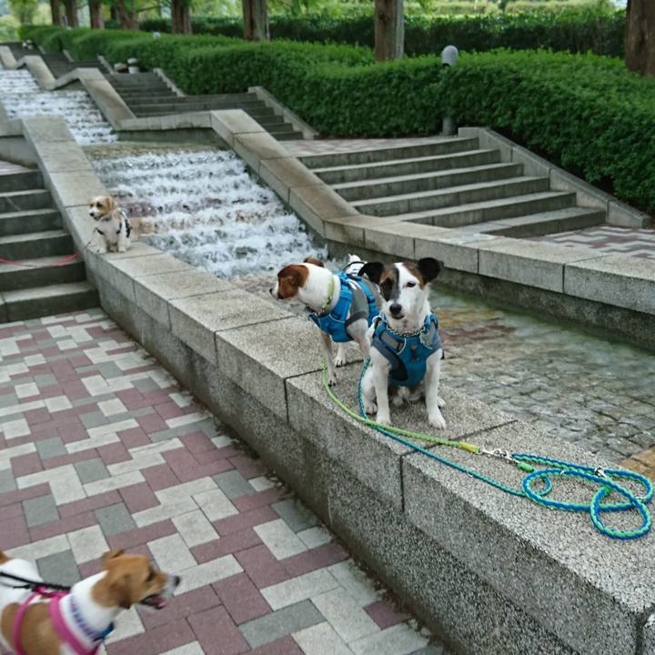 13bee62d be5c 4db1 929f d41fc78383b5 1570353094120