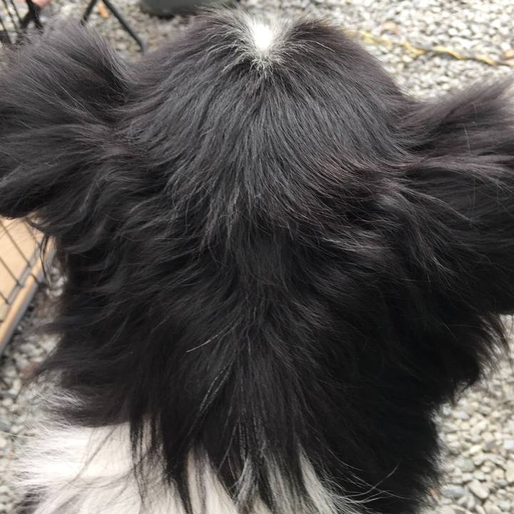 13bf090b b182 45d2 97d2 546bf01891b5 1575765141183