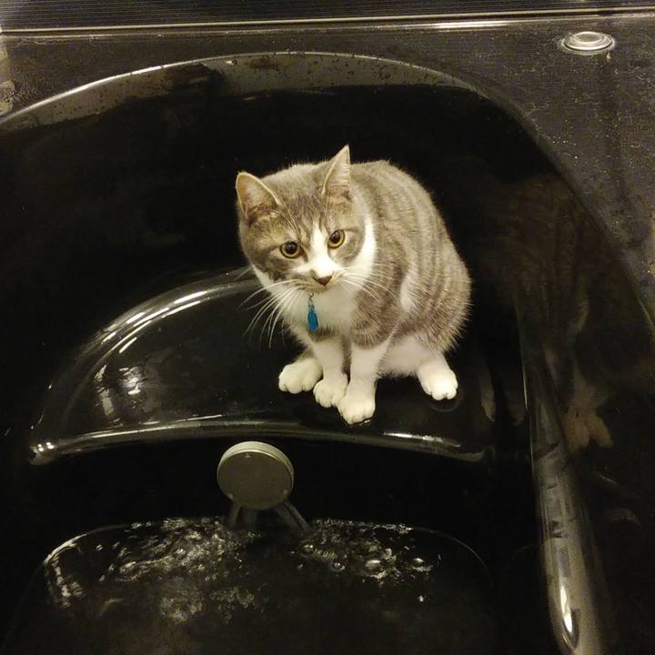 13bf3480 c495 419f bd3a 955f2f5fa8e5 1578577212716