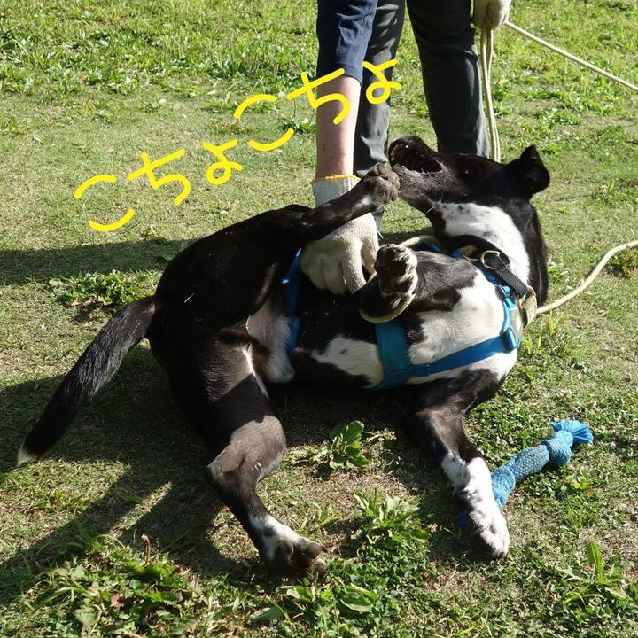 13bf3a46 62fc 45ab b470 9d640b023224 1620174400174