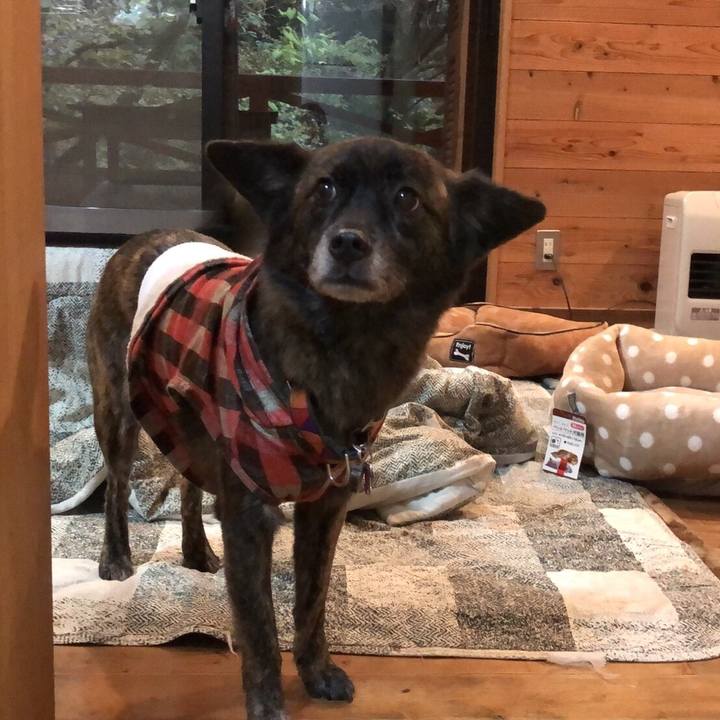 13bf3c28 3dd5 423a 8f2f 4b57bdd960f9 1511269477384