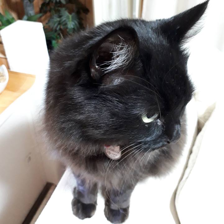 13bf5097 c960 4eb1 a51d ef6e3f059037 1518729023897