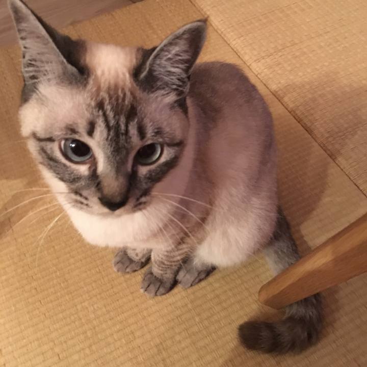 13bf6fd5 cbb0 45be 9568 15b7646a4f5b 1556107989304