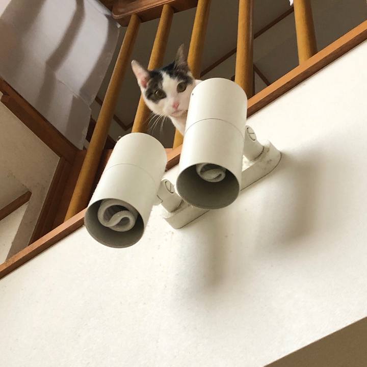 13bf7339 896e 466f b6f7 e3ff0172a109 1578837348600