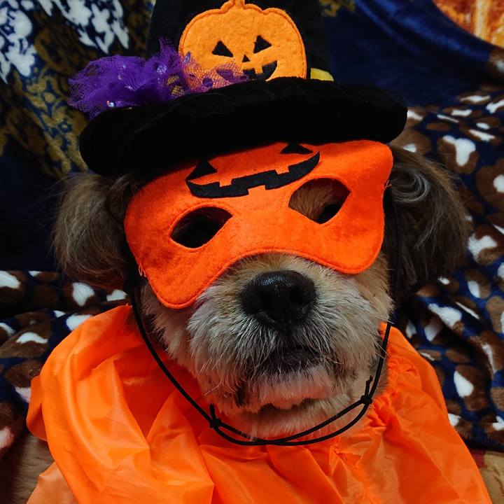 13bf7611 8db4 4bff 8f46 2b55e9b4a547 1570964146751