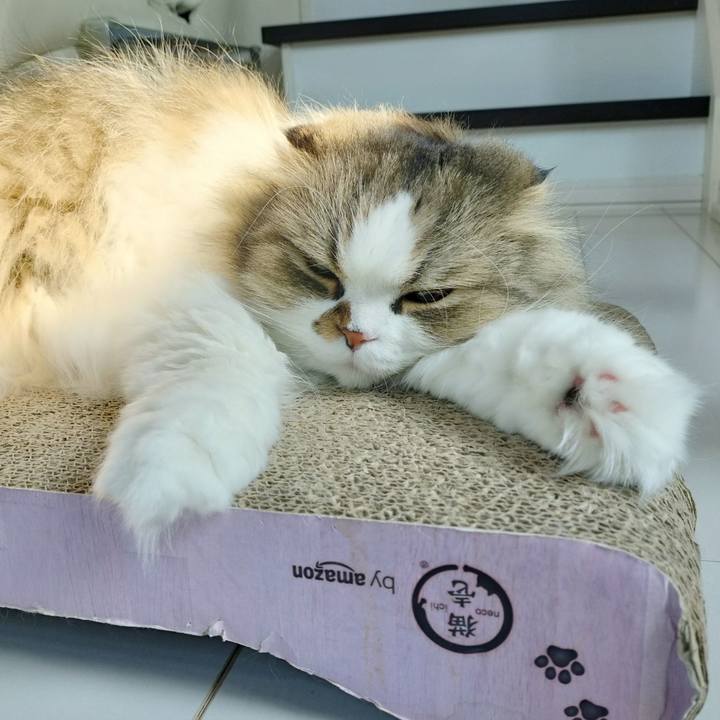 13bf92f5 974c 4bc0 abca 04110138989d 1775822147922