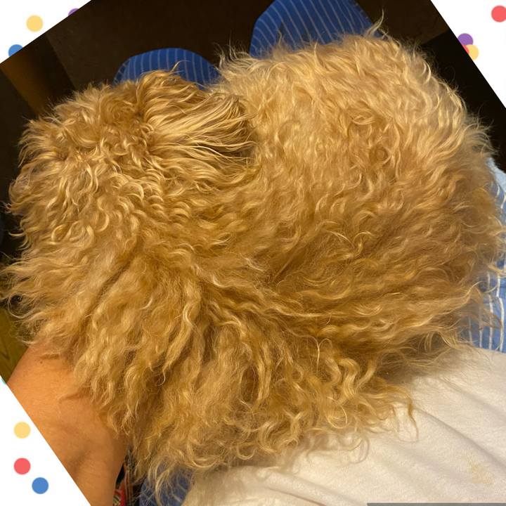 13bfa1a2 308a 42f2 a99f f8ea79894095 1695937486206