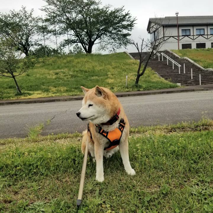 13bfc1ed 1bae 4708 889c 827a3c955781 1715141127336