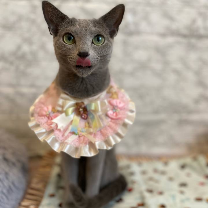 13bfd204 66f5 48da 8a11 7208a9643b94 1682328682563