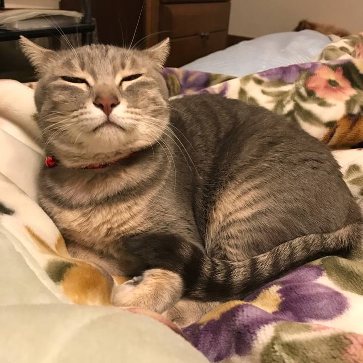 13bffd21 c0c1 4f7e ad56 edf7cbf4dc1a 1578696504717