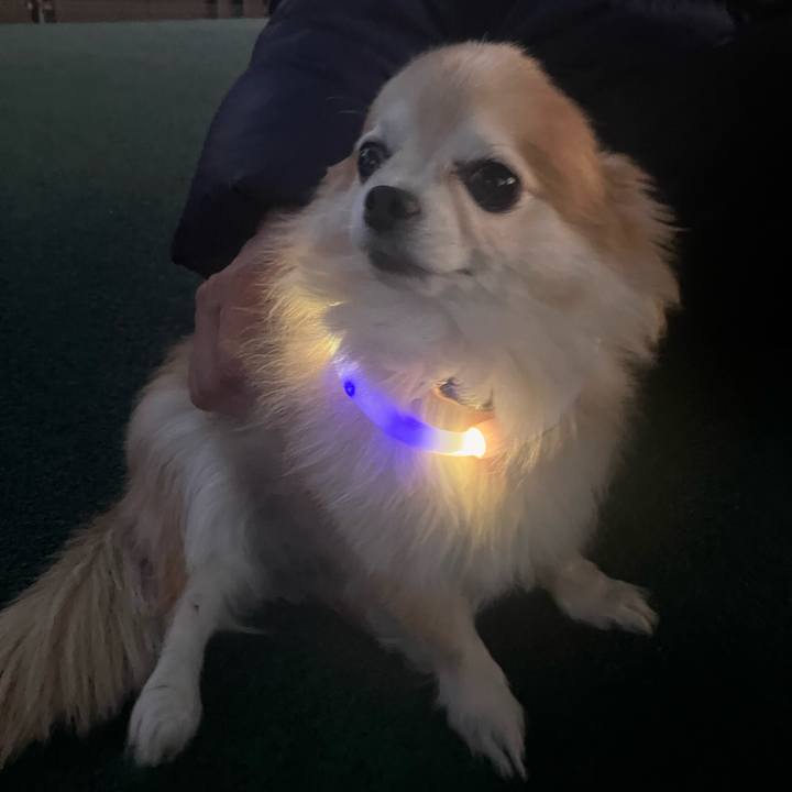 13c00b29 2953 4993 a69d 4b0c8a71de50 1765369497295