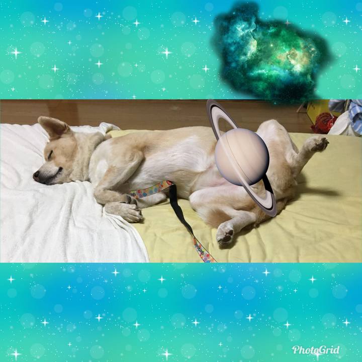 13c03e73 ea35 4ab7 b494 aed7cc0b3e44 1537282243717