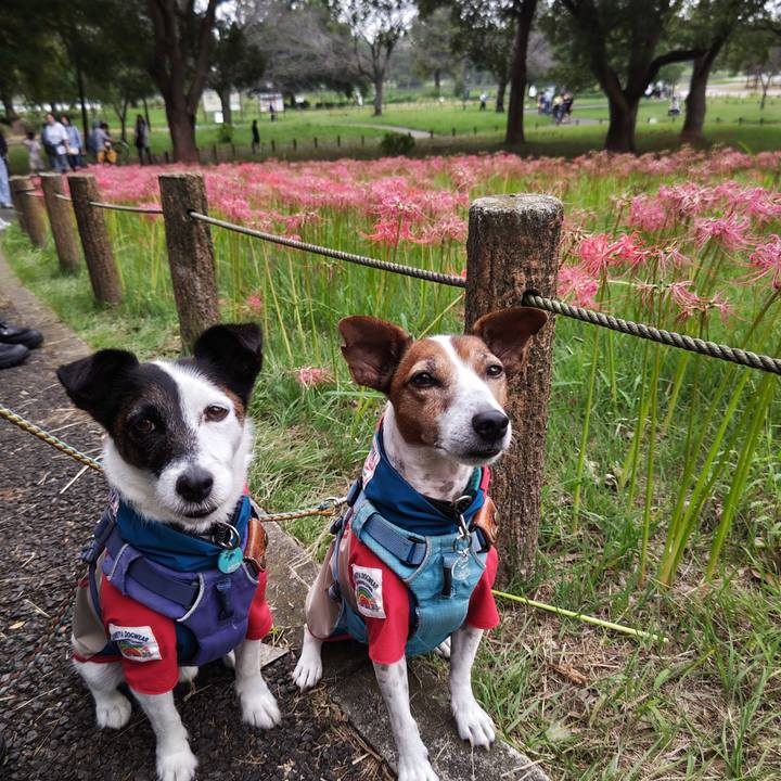 13c0475d 96e3 48eb b87e 16a58c199f26 1728208334632