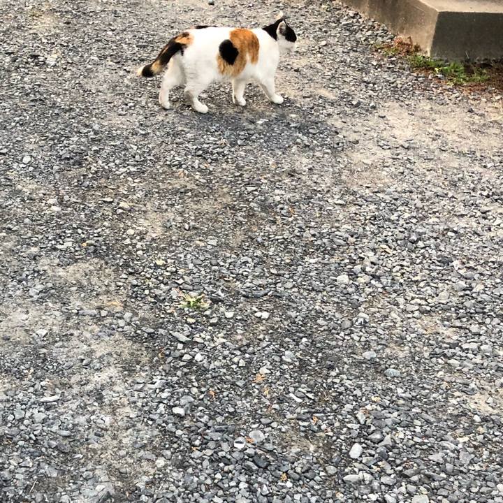 13c06283 3576 4e33 8cac 863a372da4e9 1604614719476