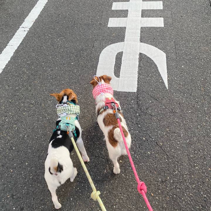 13c0d399 39c6 4a77 9c76 6c59de1f6220 1754435107954