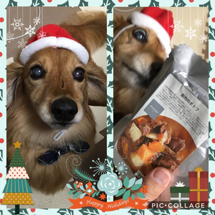 13c0df3a 6bed 4111 9e12 2067a09d76cd 1608812892241