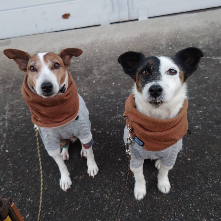 13c0f9bc 4e73 4313 b90e 0dd3ae77efb5 1767046137862