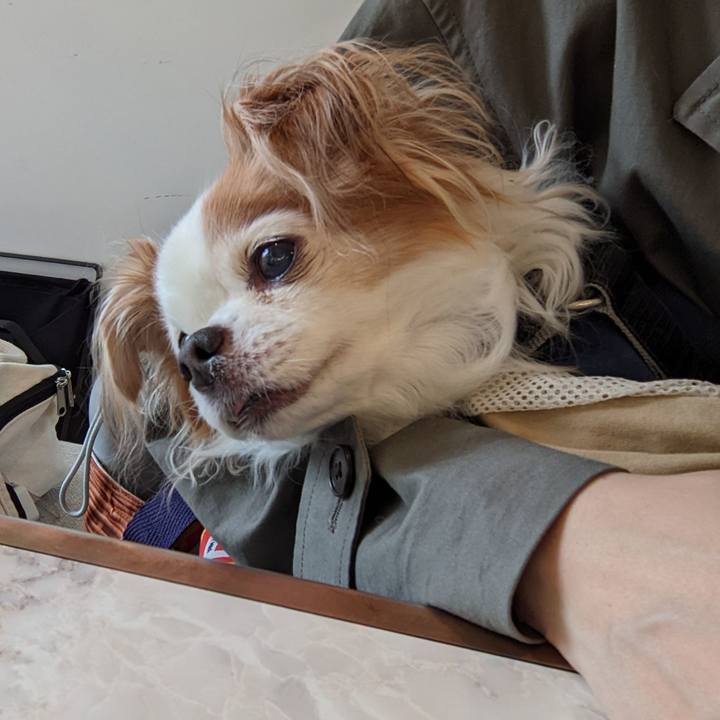 13c11101 ff17 4e52 b3ee 81c774b12090 1648257498272