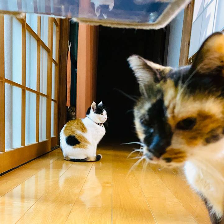 13c11579 60eb 4d22 b215 4478ae09326a 1670679323331