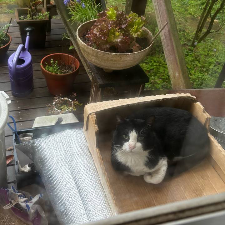 13c11653 6135 4df4 b284 01bb309b00ac 1711893769600