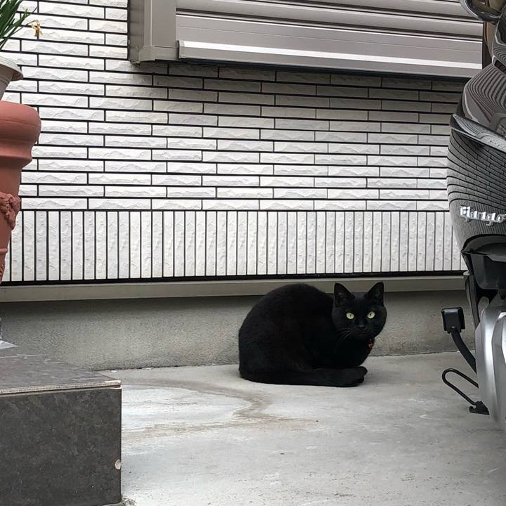 13c11fd6 31d9 4037 a7d7 ba7f66751ac2 1649604387712