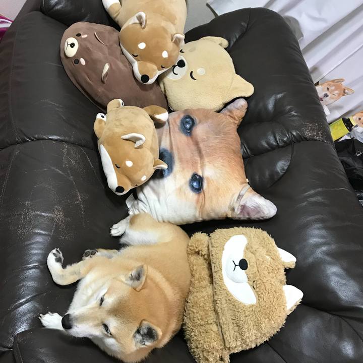 13c14988 c149 47af b5ff 2255dbc2cf5d 1512310065903