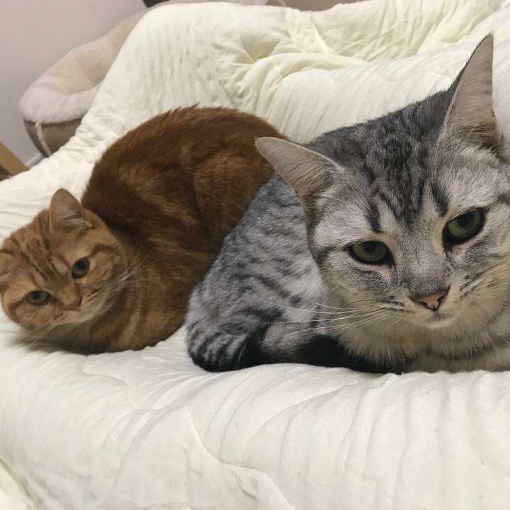 13c153e1 bb34 4780 98d0 76f6c67ecc9e 1515416732579