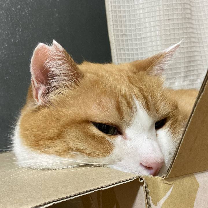 13c1a4f7 7b88 45c1 b283 390549891567 1760185351056