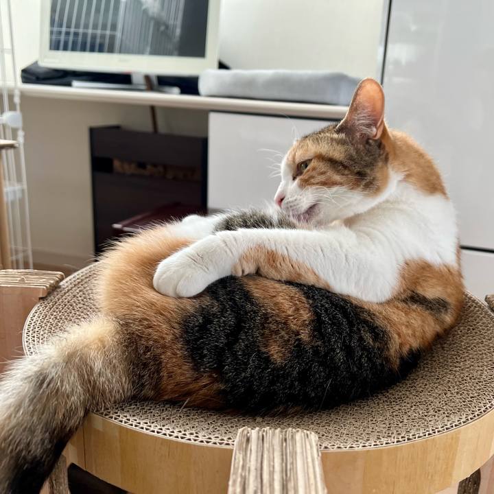 13c1e64b 339b 44f0 a855 a9eadc8673ed 1768958869736